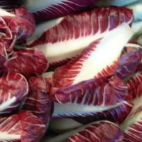 Radicchio
