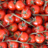 Tomaten - Pomodori